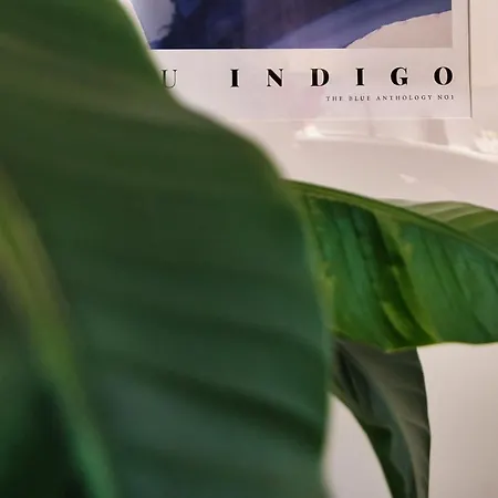 Indigo 11 By Housine Appartement *